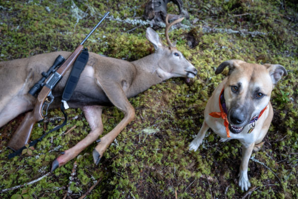 how to train a dog to trail deer blood